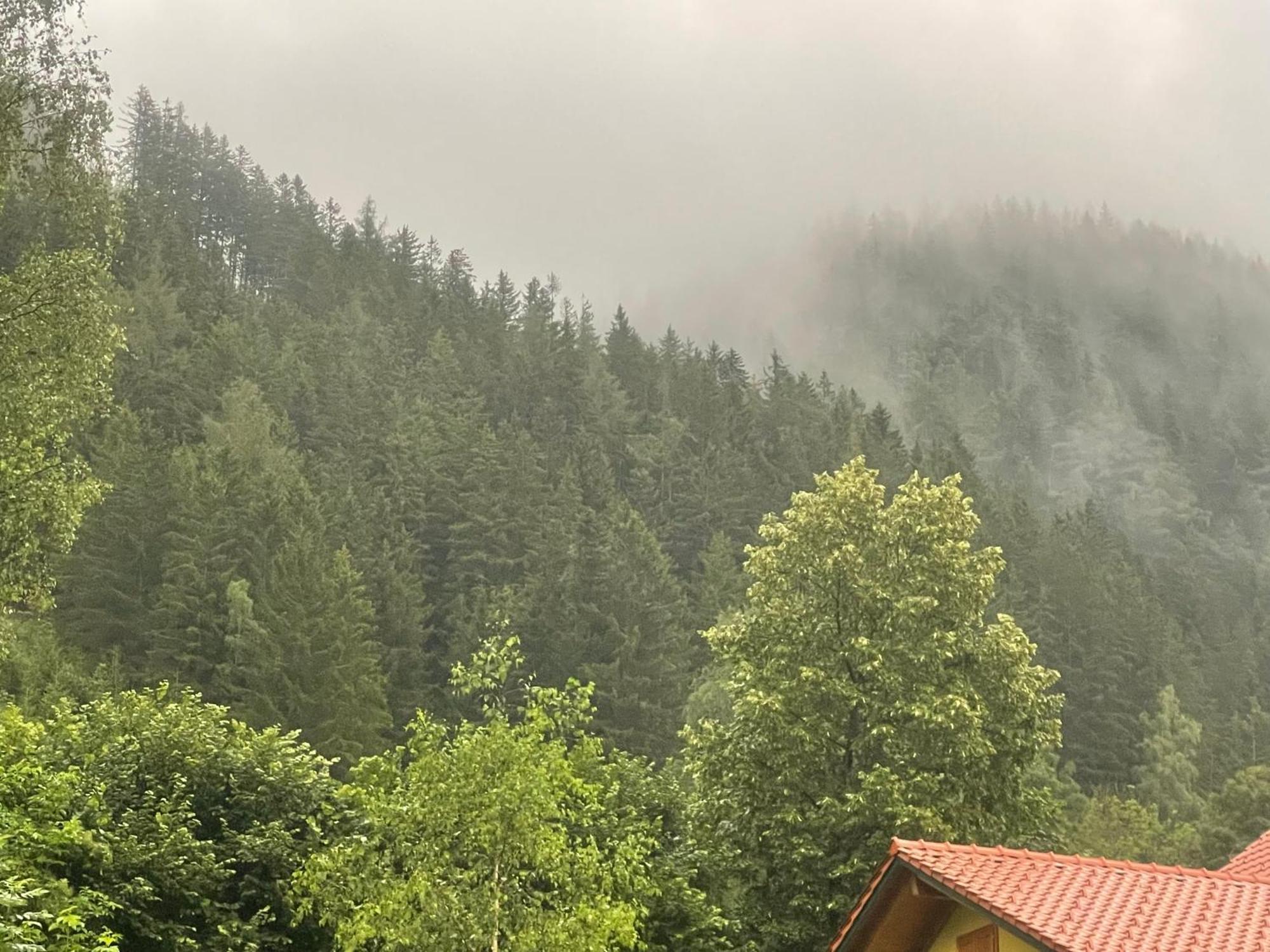 Gruener See Exklusiv Oberort 외부 사진
